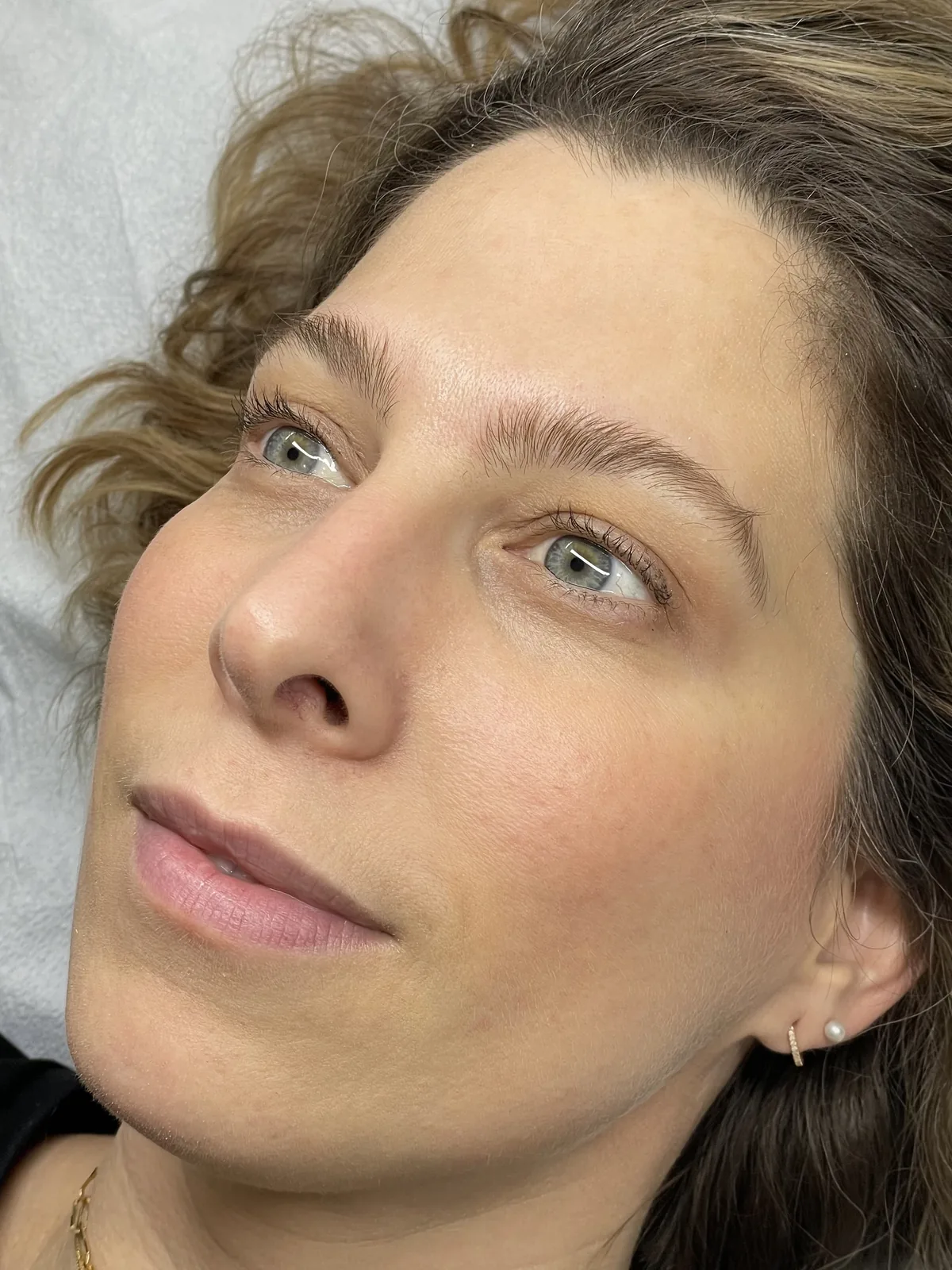 Brow lift and tint result, brows brushed upward and set with a soft feathered finish