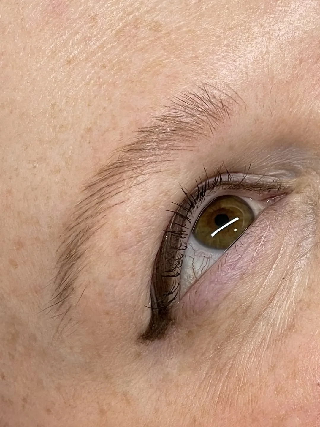 Healed microblading, fine strokes forming a softly arched brow above a brown eye