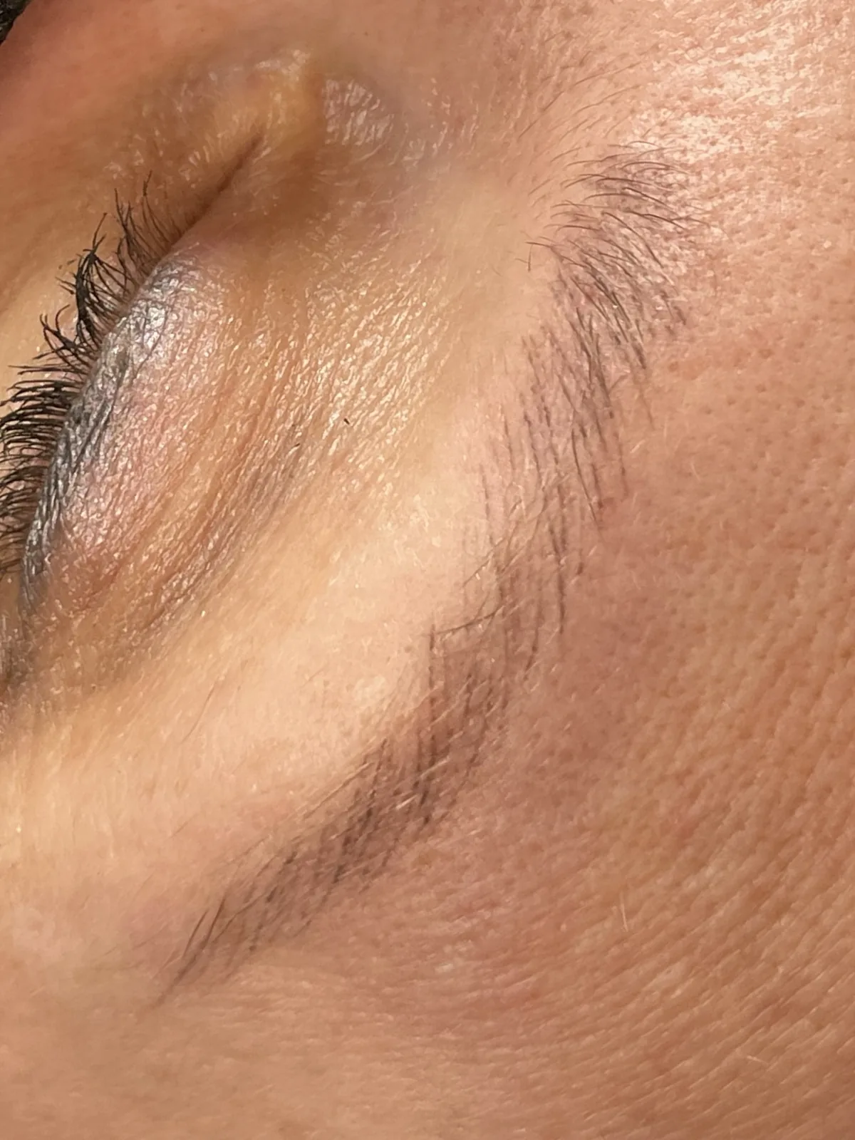 Healed microblading, fine tapered strokes reading as individual hairs